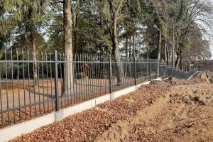 20191031_101238_original